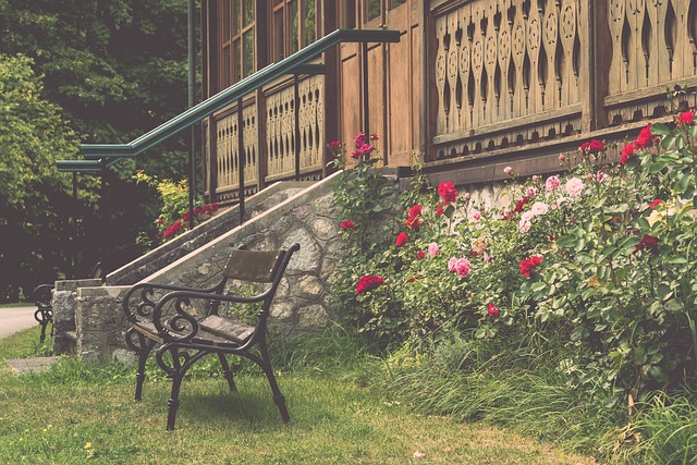 并以全新的 并以全新的